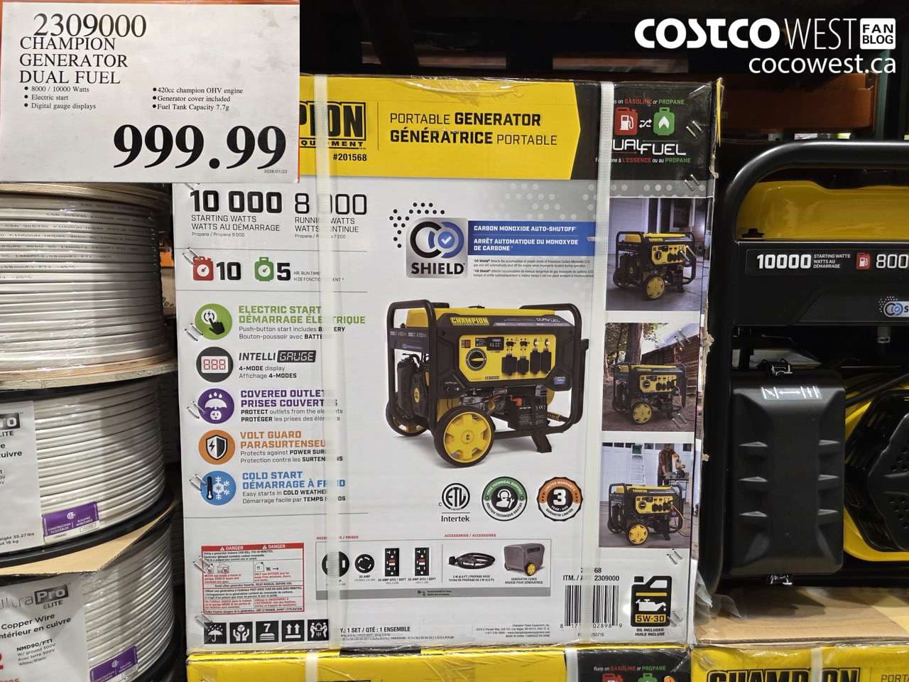 CHAMPION GENERATOR DUAL FUEL