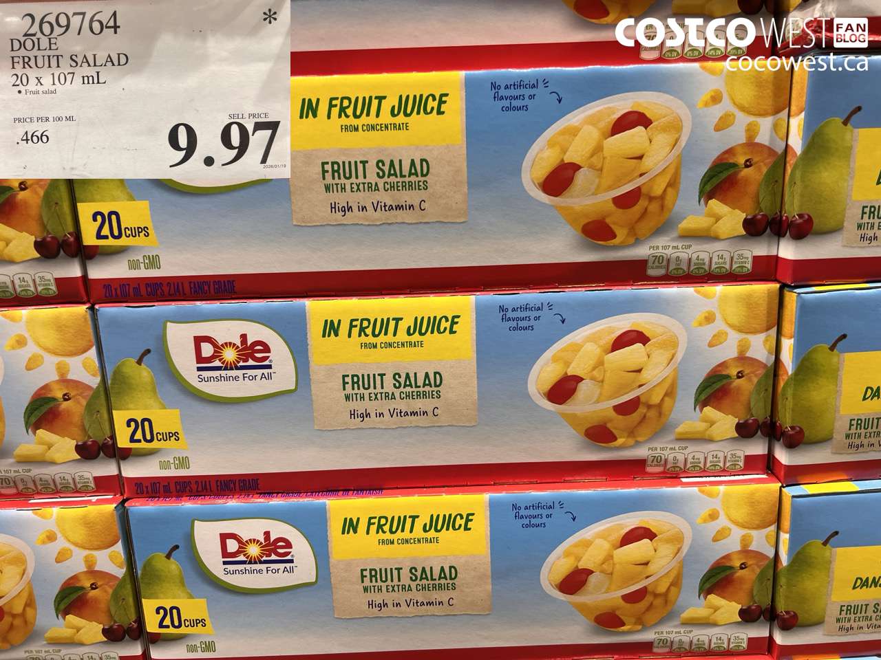 DOLE FRUIT SALAD 20 x 107 mL