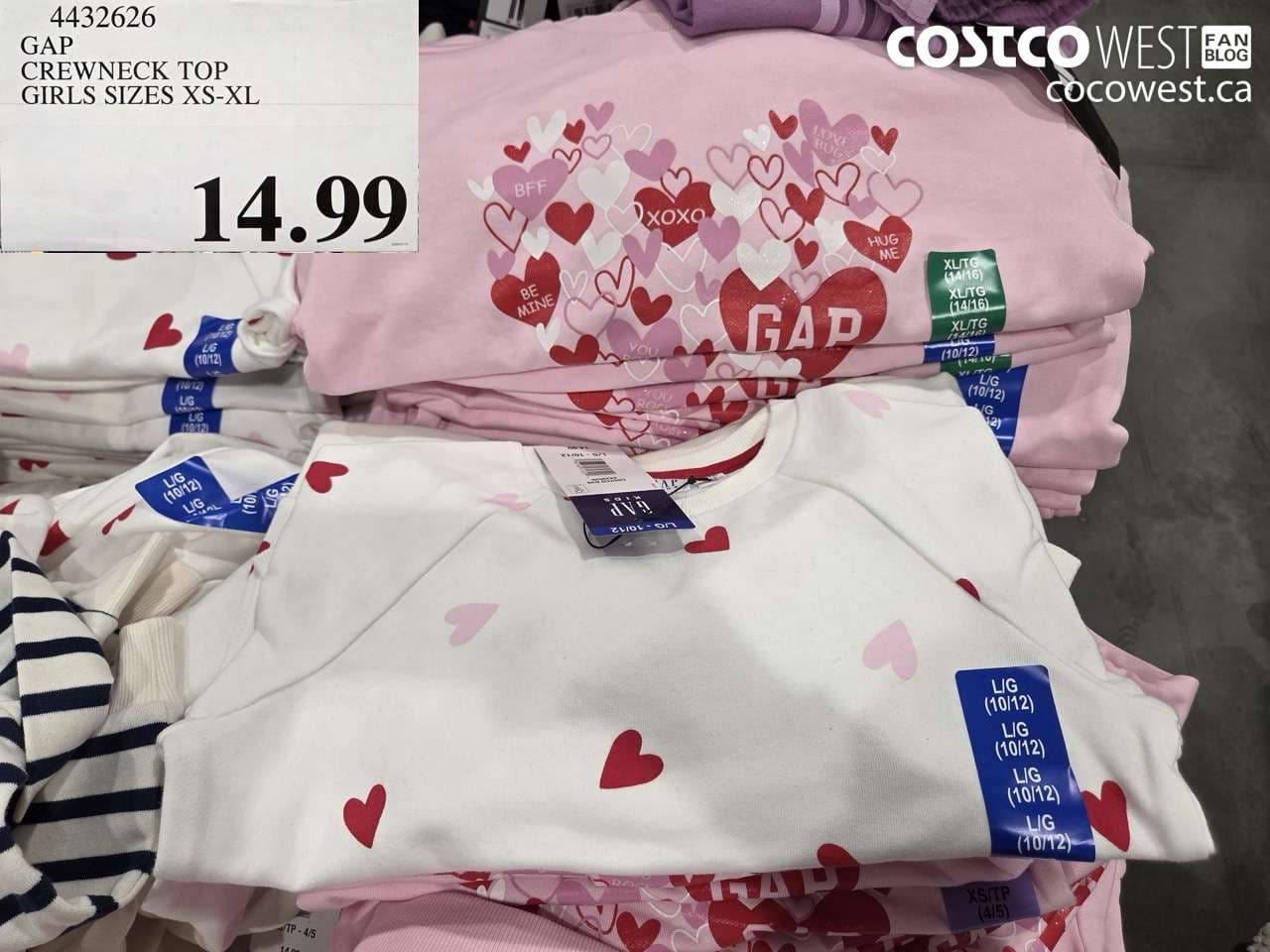 GAP CREWNECK TOP GIRLS SIZES XS-XL