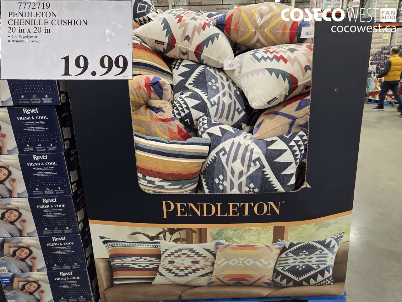 PENDLETON CHENILLE CUSHION 20 IN X 20 IN