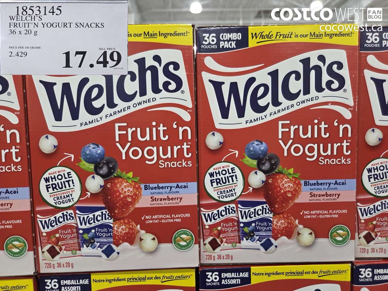 WELCH’S FRUIT’N YOGURT SNACKS 36 x 20 g