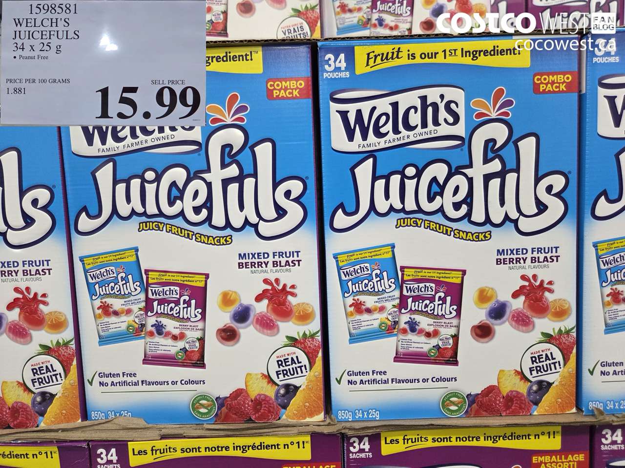 WELCH’S JUICEFULS 34 X 25 G