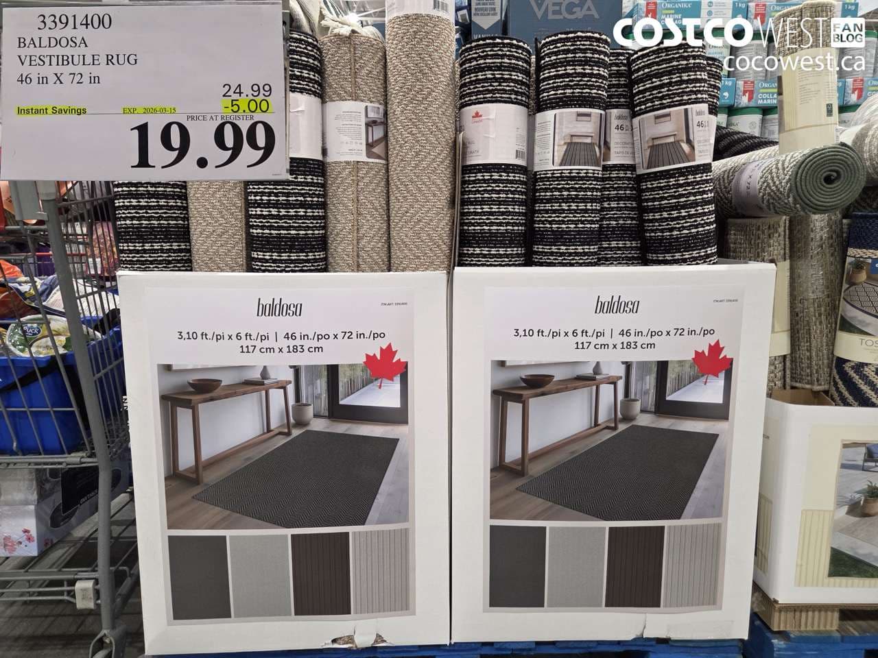 BALDOSA VESTIBULE RUG 46 in X 72 in