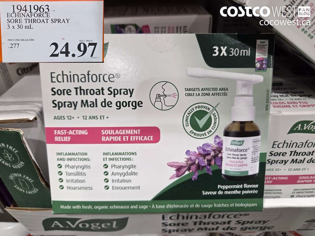 echinaforce sore throat spray 3 x 30 ml