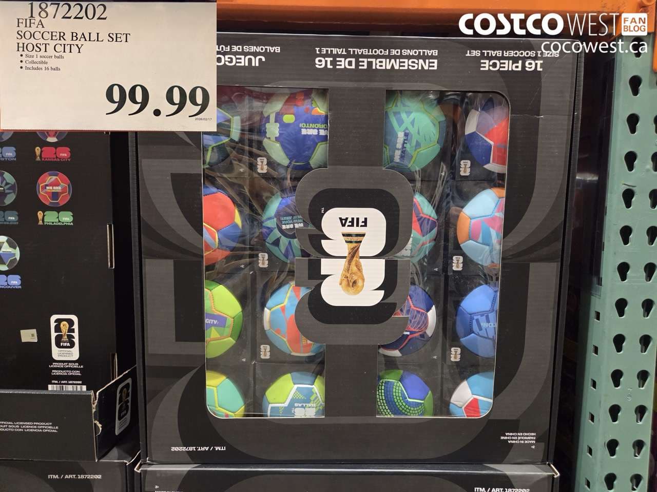 fifa soccer ball set host city