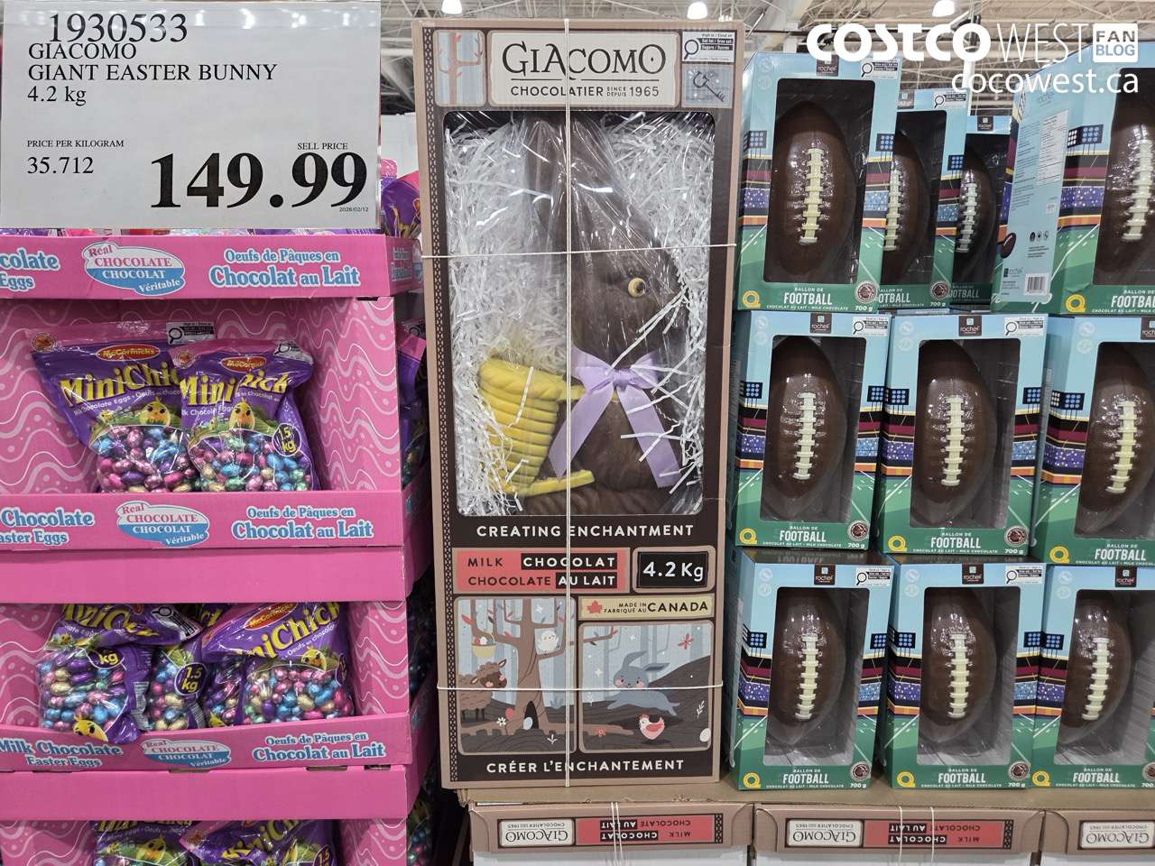 GIACOMO GIANT EASTER BUNNY 4.2 kg