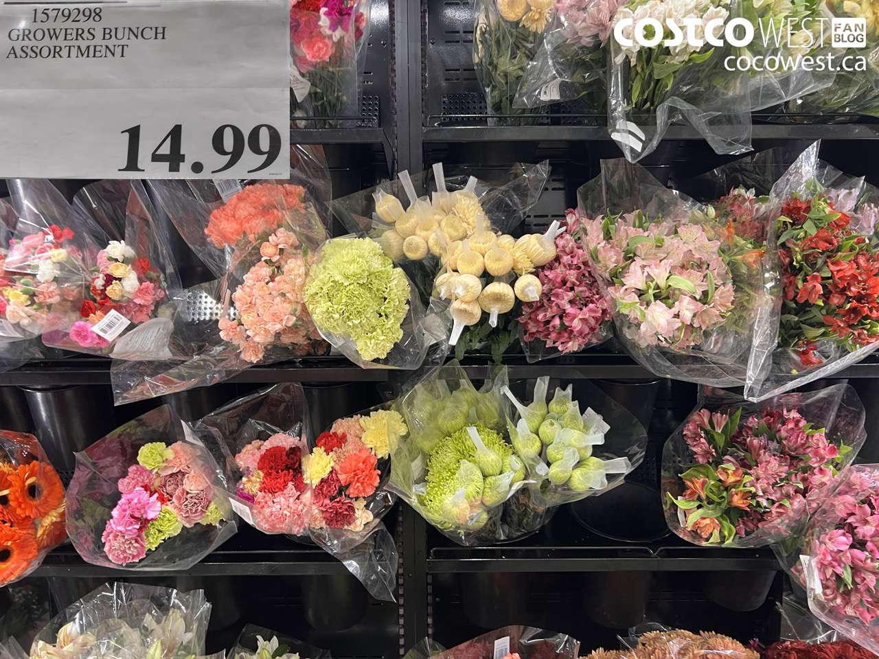 GROWERS BUNCH ASSORTMENT