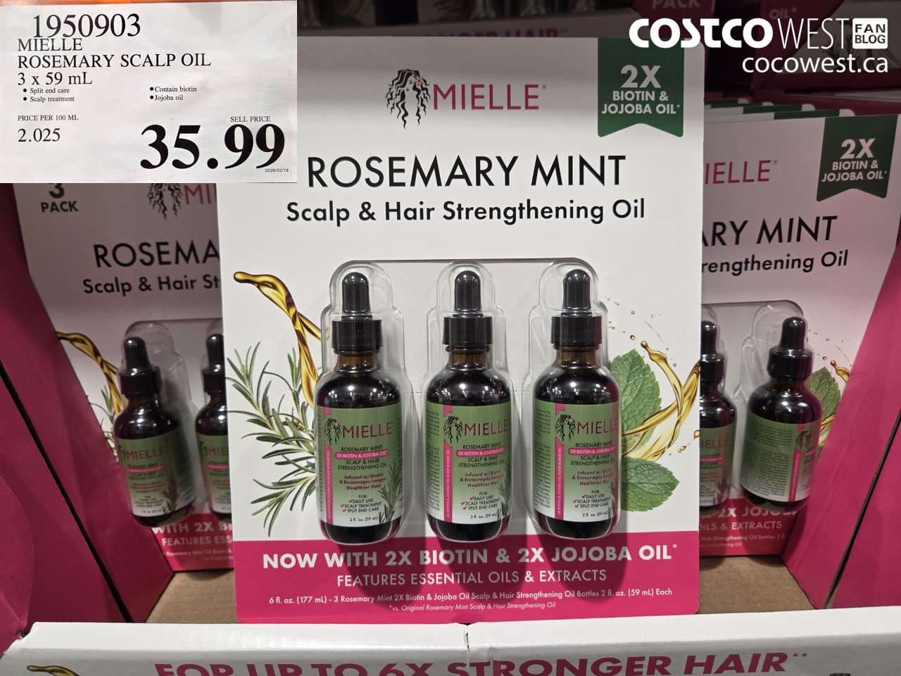 MIELLE ROSEMARY SCALP OIL 3 x 59 ML