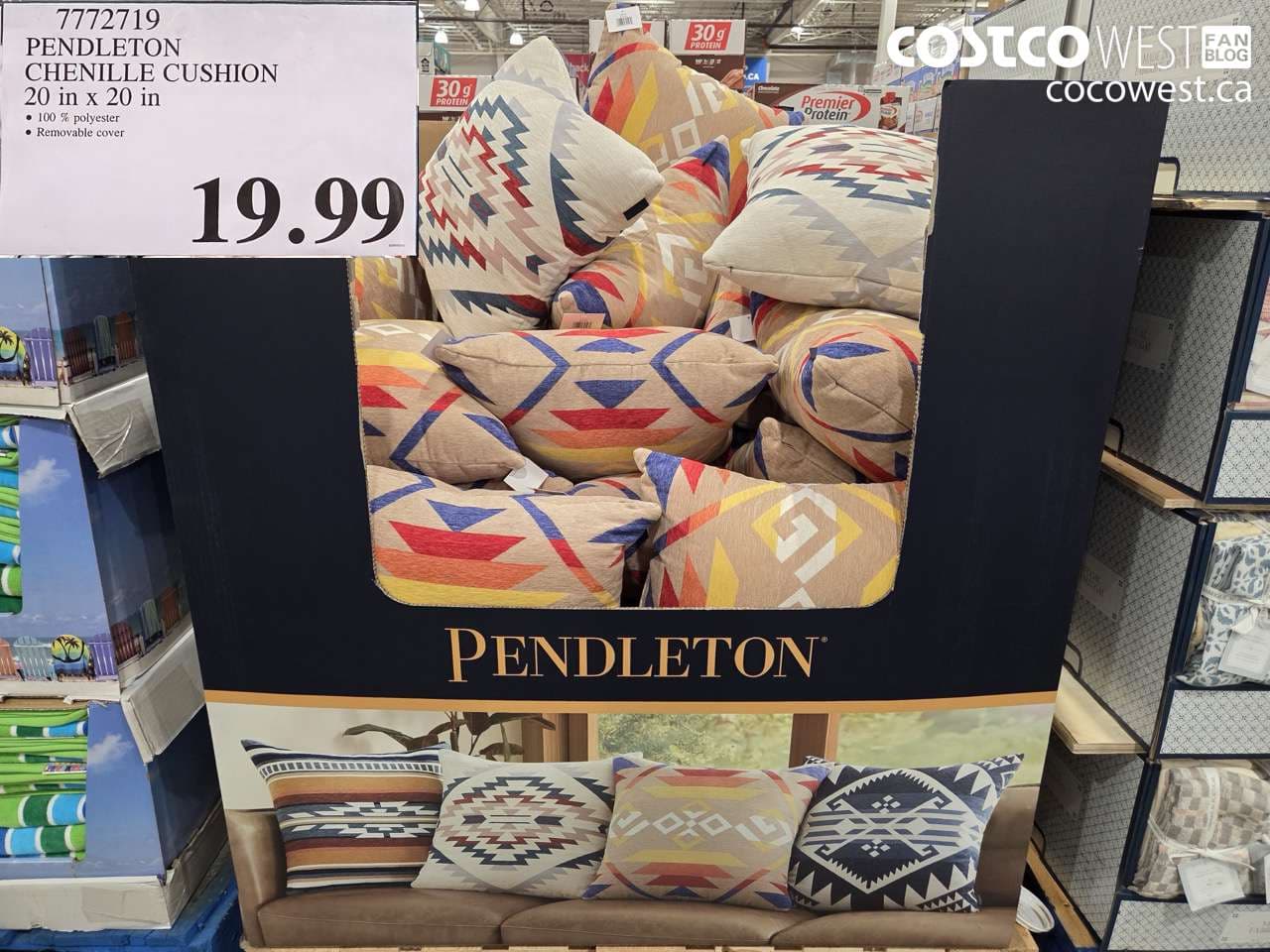 PENDLETON CHENILLE CUSHION 20 in x 20 in