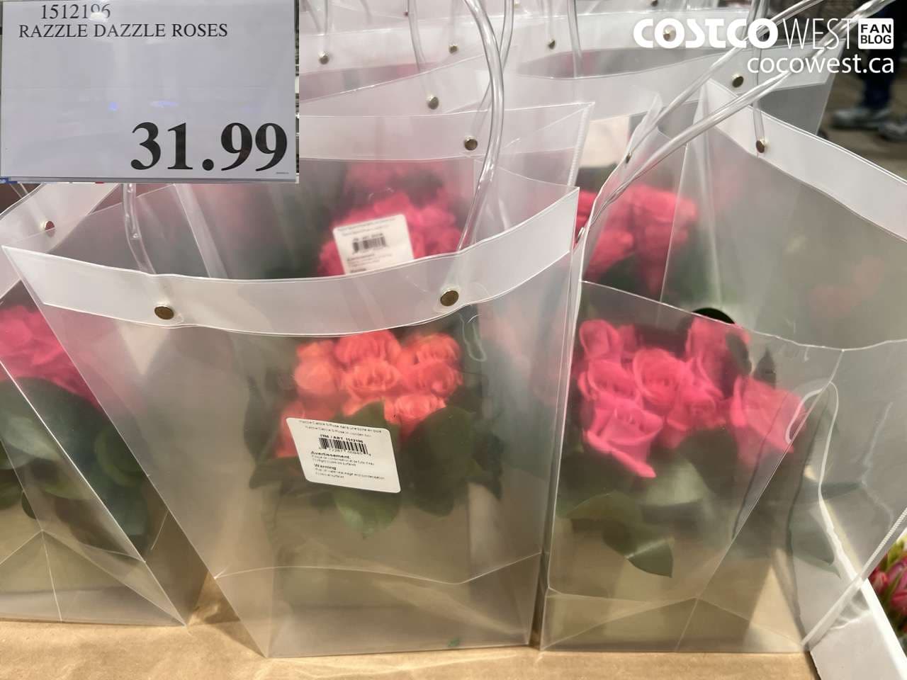 RAZZLE DAZZLE ROSES