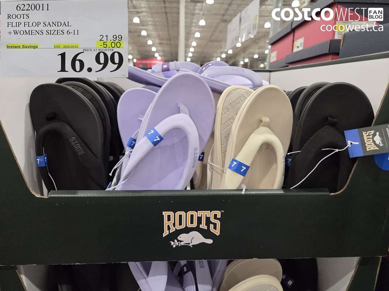 roots flip flop sandal  womens sizes 611