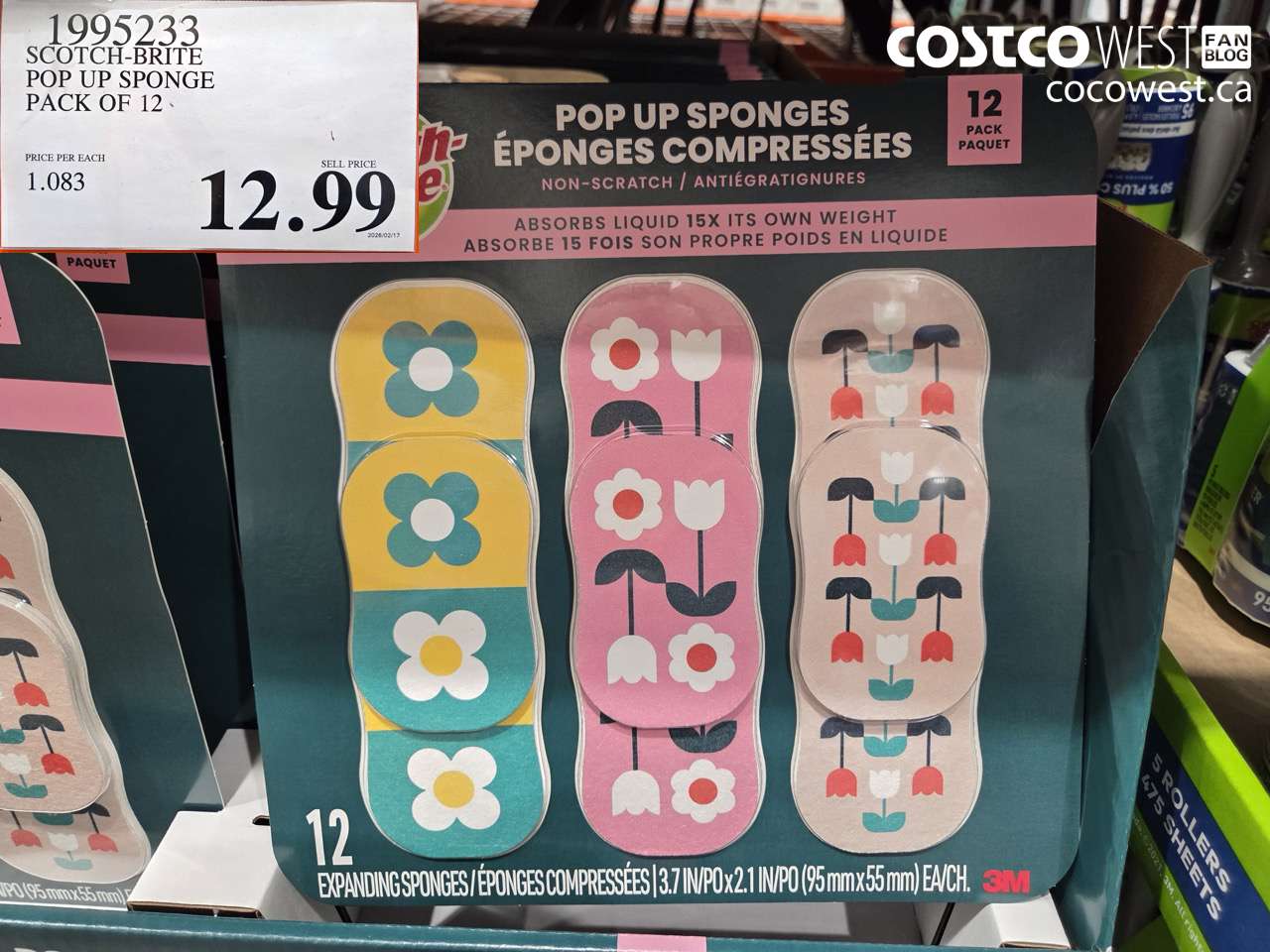 SCOTCH-BRITE POP UP SPONGE PACK OF 12