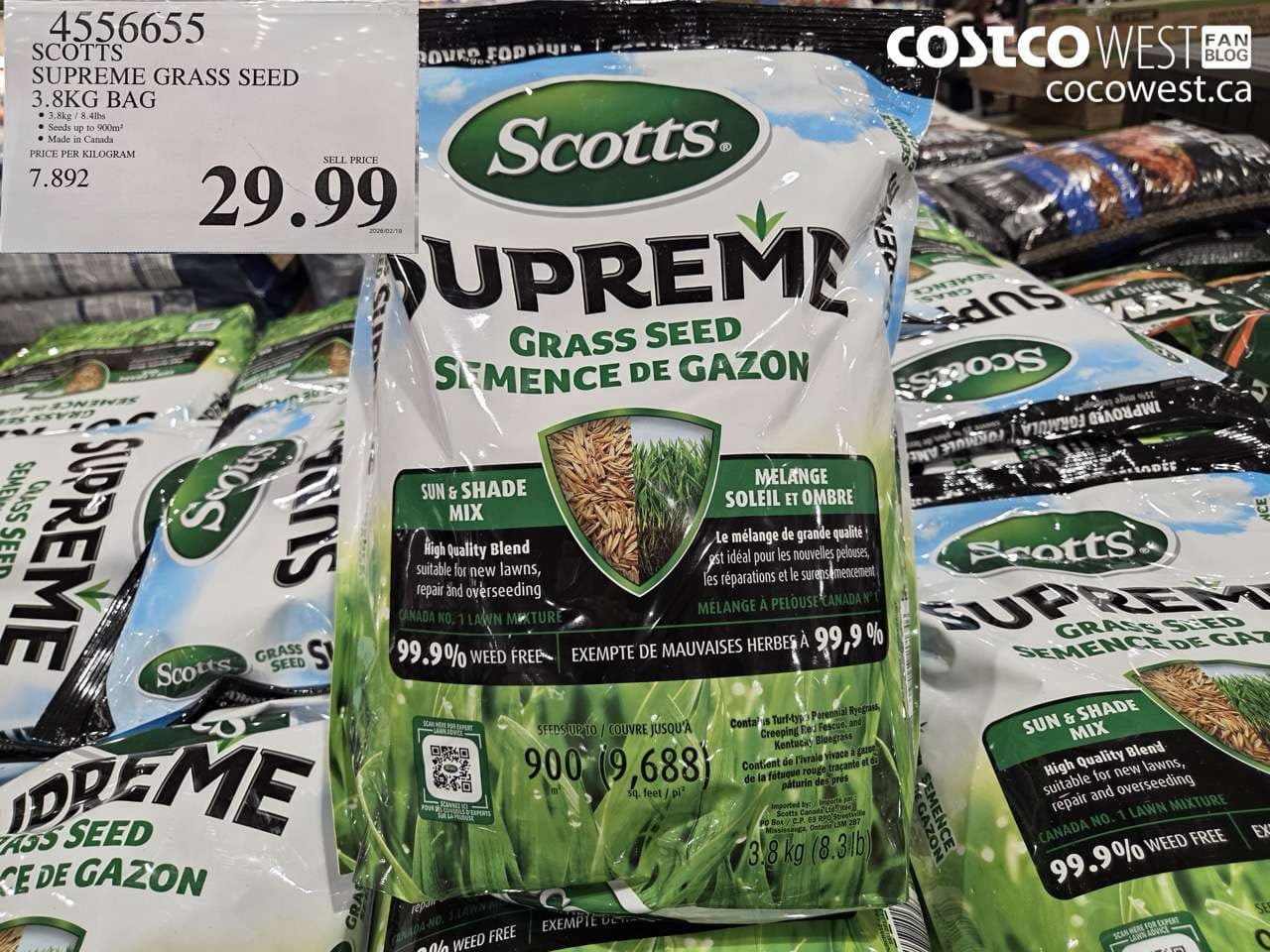 scotts supreme grass seed 38kg bag