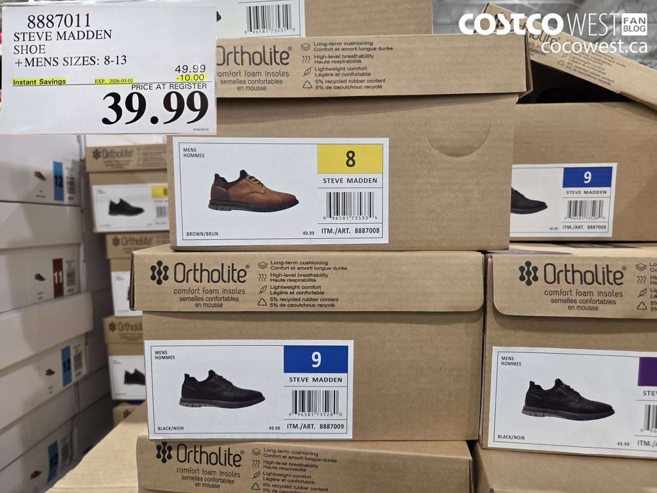 steve madden shoe  mens sizes 813