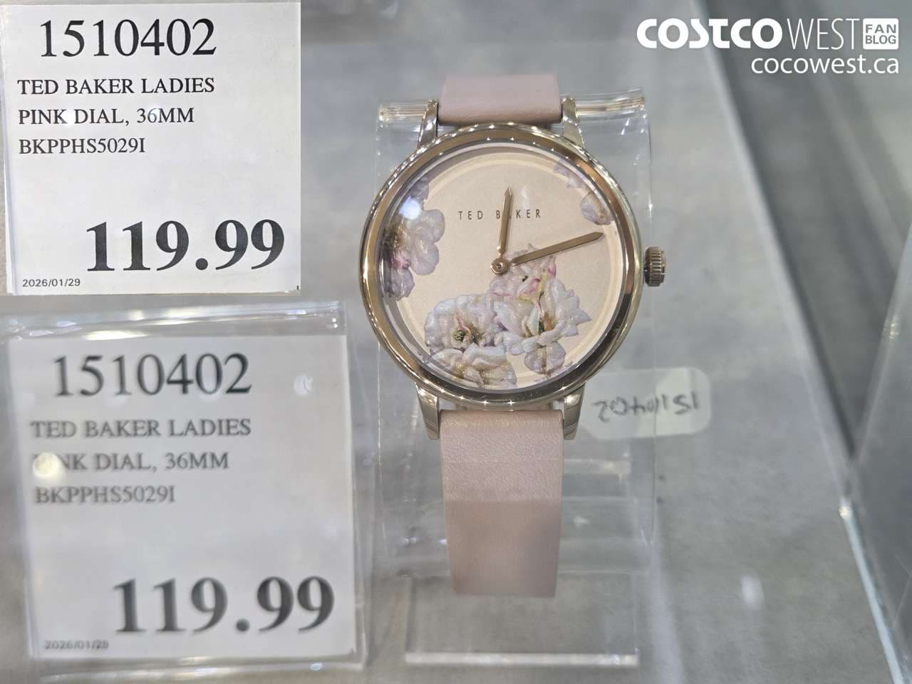 TED BAKER LADIES PINK DIAL, 36MM BKPPHS5029I