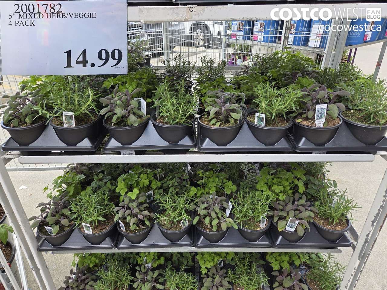 5″ MIXED HERB/VEGGIE 4 PACK