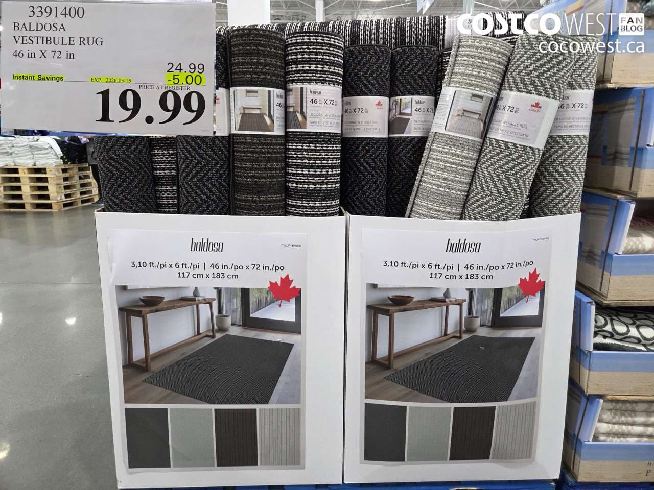 baldosa vestibule rug 46 in x 72 in