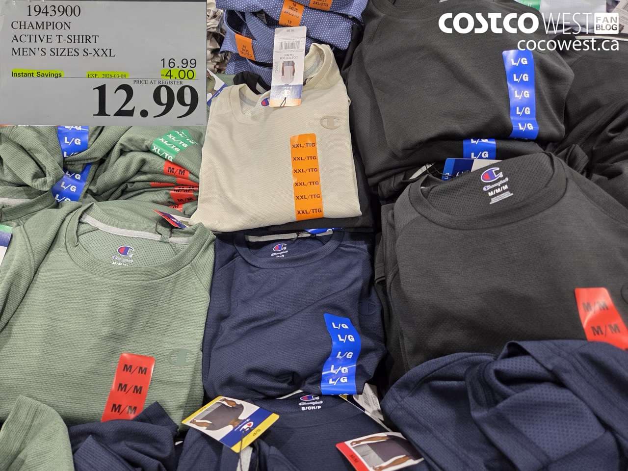 champion active tshirt mens sizes sxxl