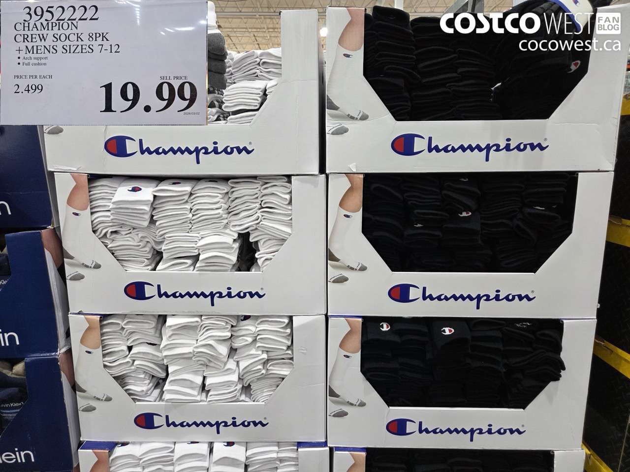 CHAMPION CREW SOCK 8PK +MENS SIZES 7-12