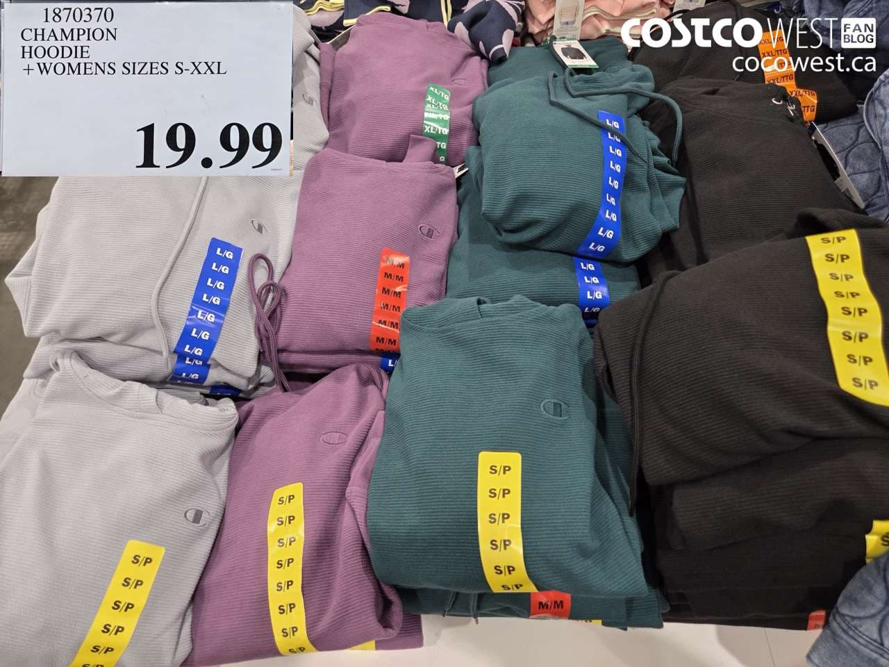 CHAMPION HOODIE +WOMENS SIZES S-XXL