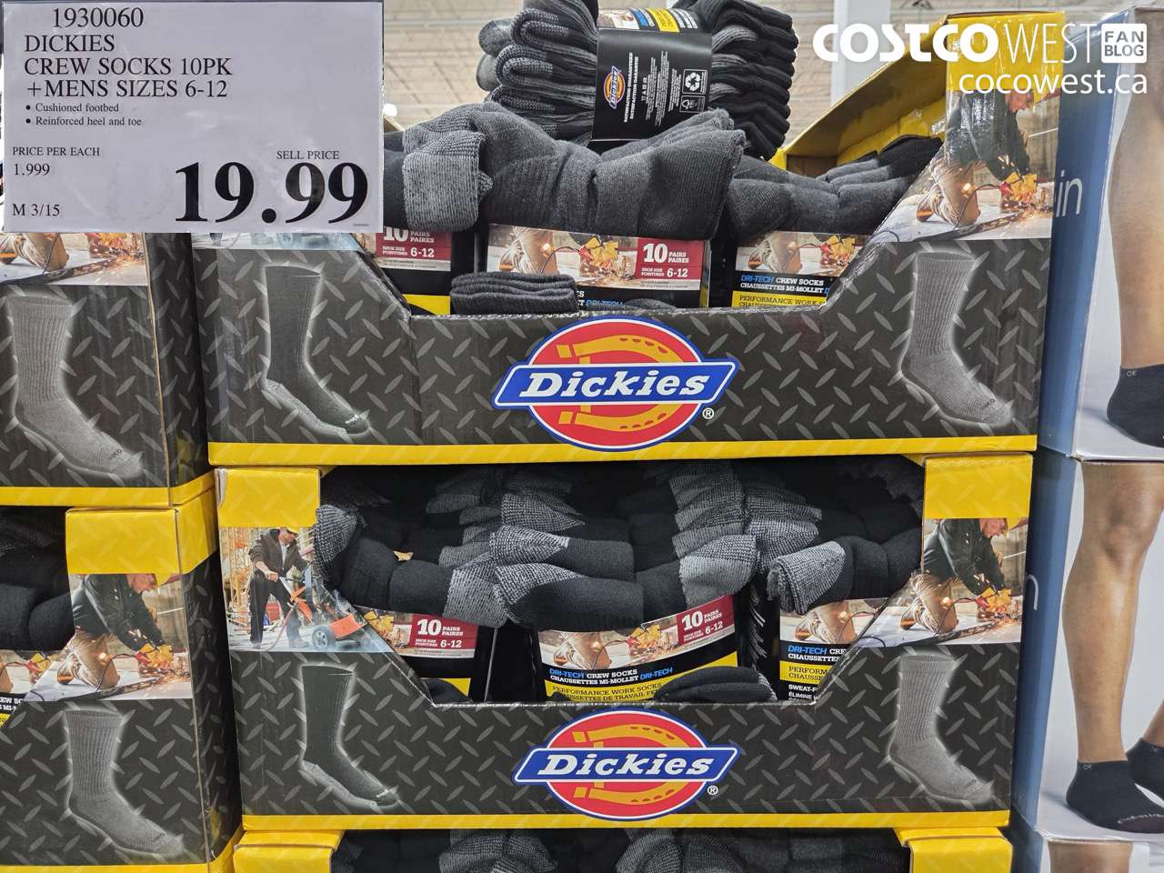 DICKIES CREW SOCKS 10PK + MENS SIZES 6-12