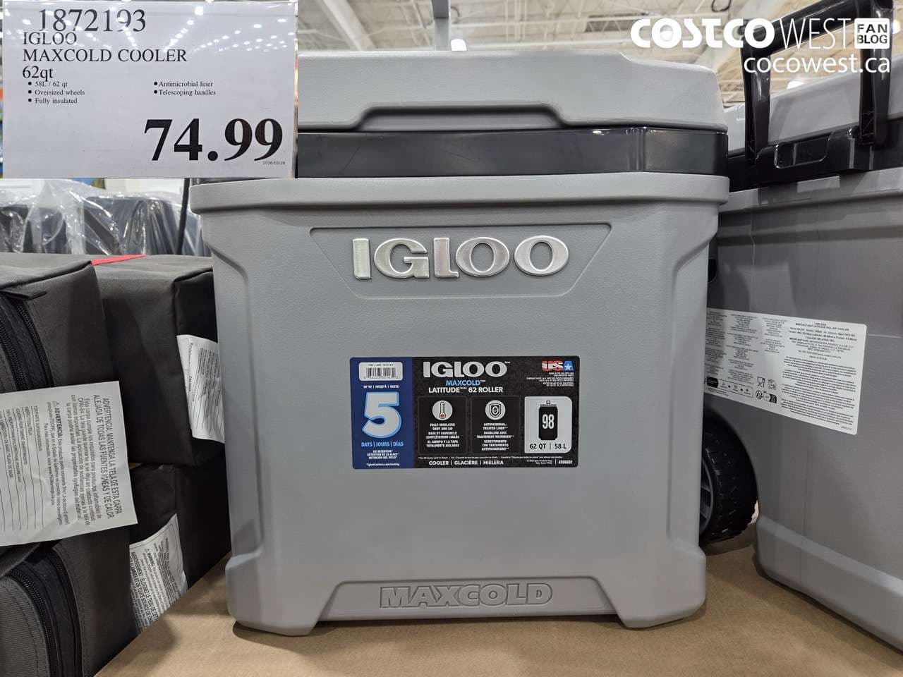 IGLOO MAXCOLD COOLER 62QT