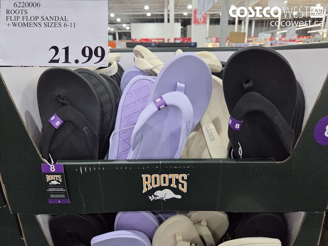 ROOTS FLIP FLOP SANDAL + WOMENS SIZES 6-11