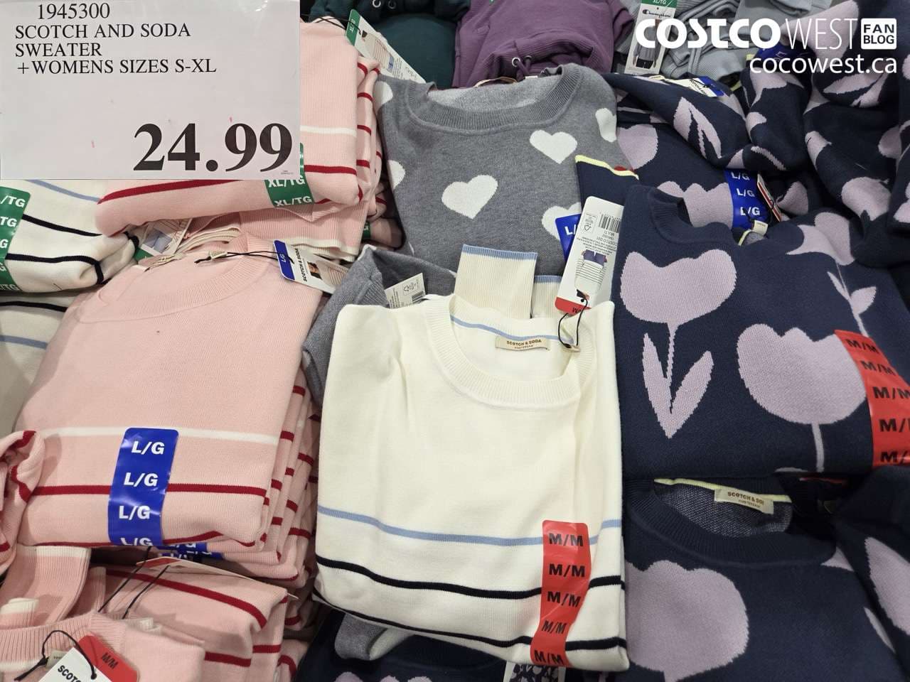 scotch and soda sweater  womens sizes sxl