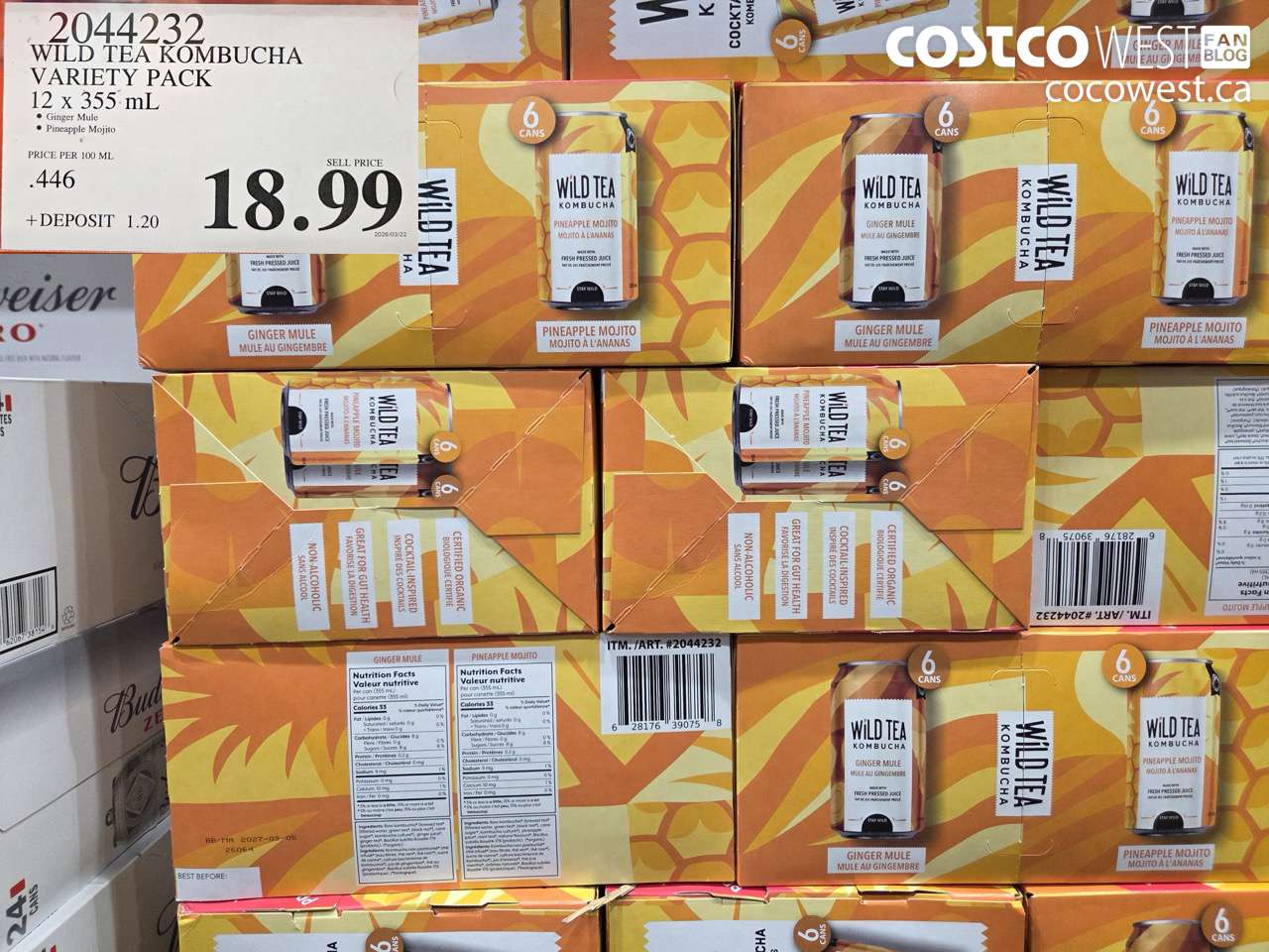 WILD TEA KOMBUCHA VARIETY PACK 12 X 355 ML