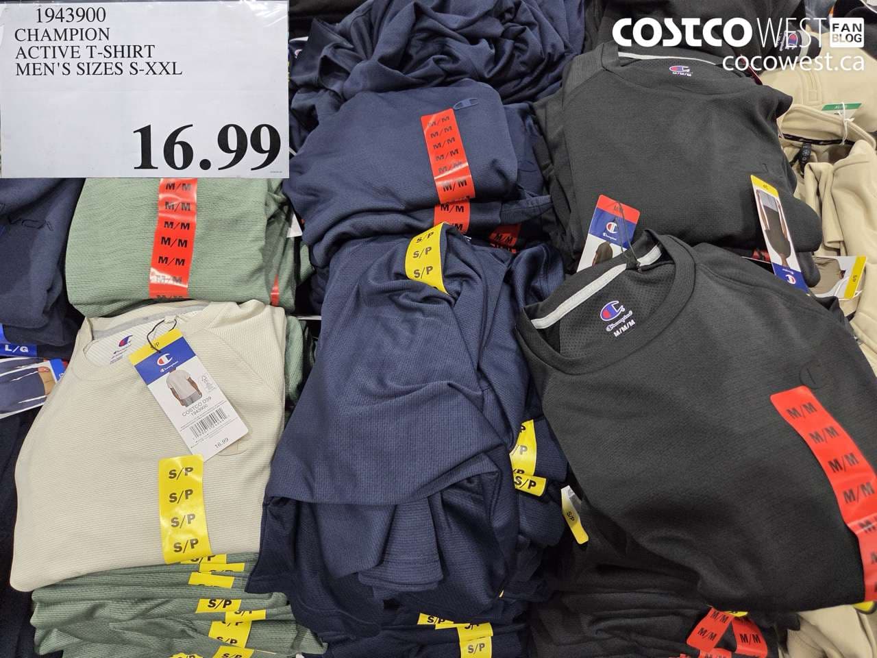 champion active tshirt mens sizes sxxl