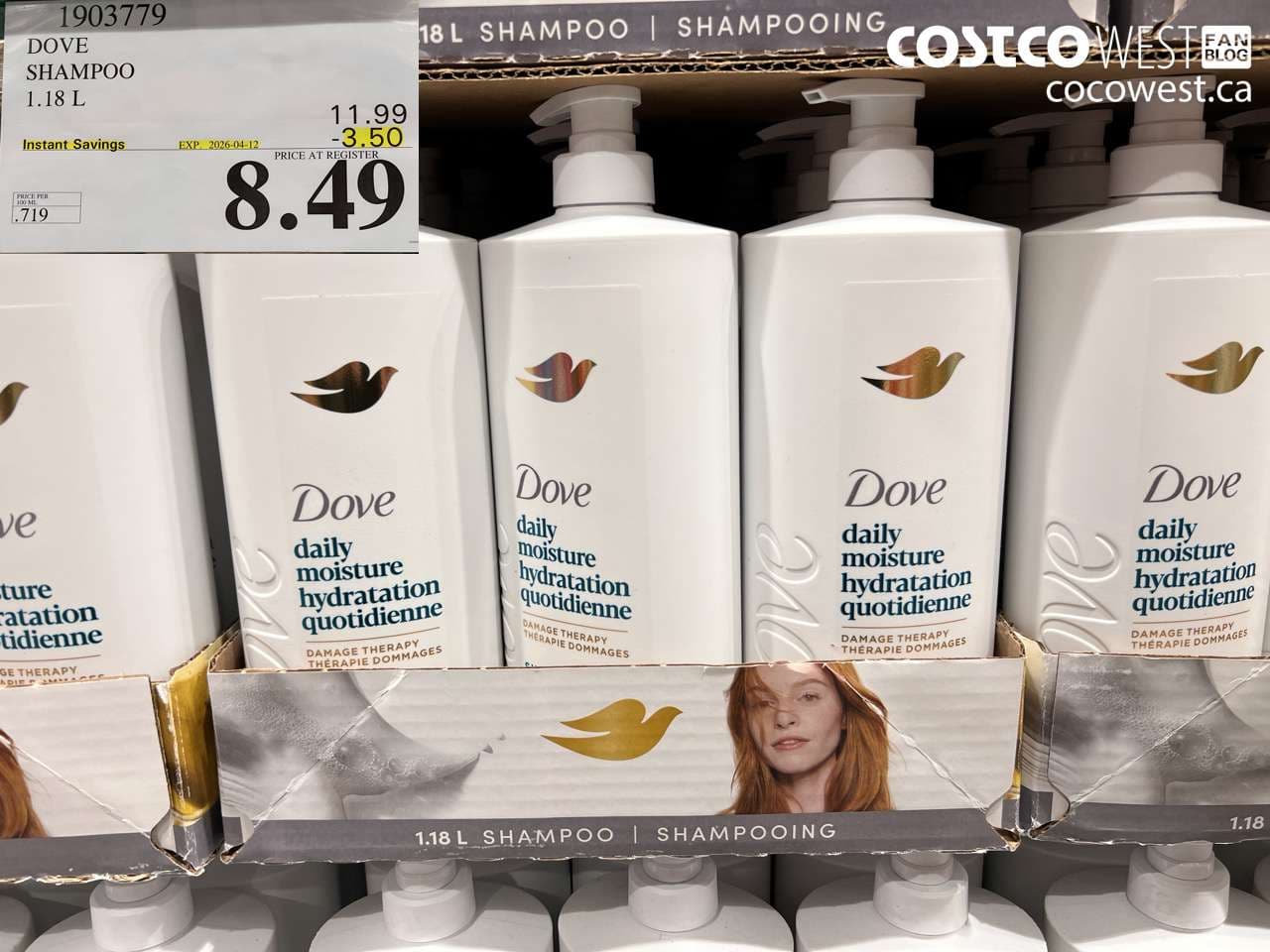 dove shampoo 118 l