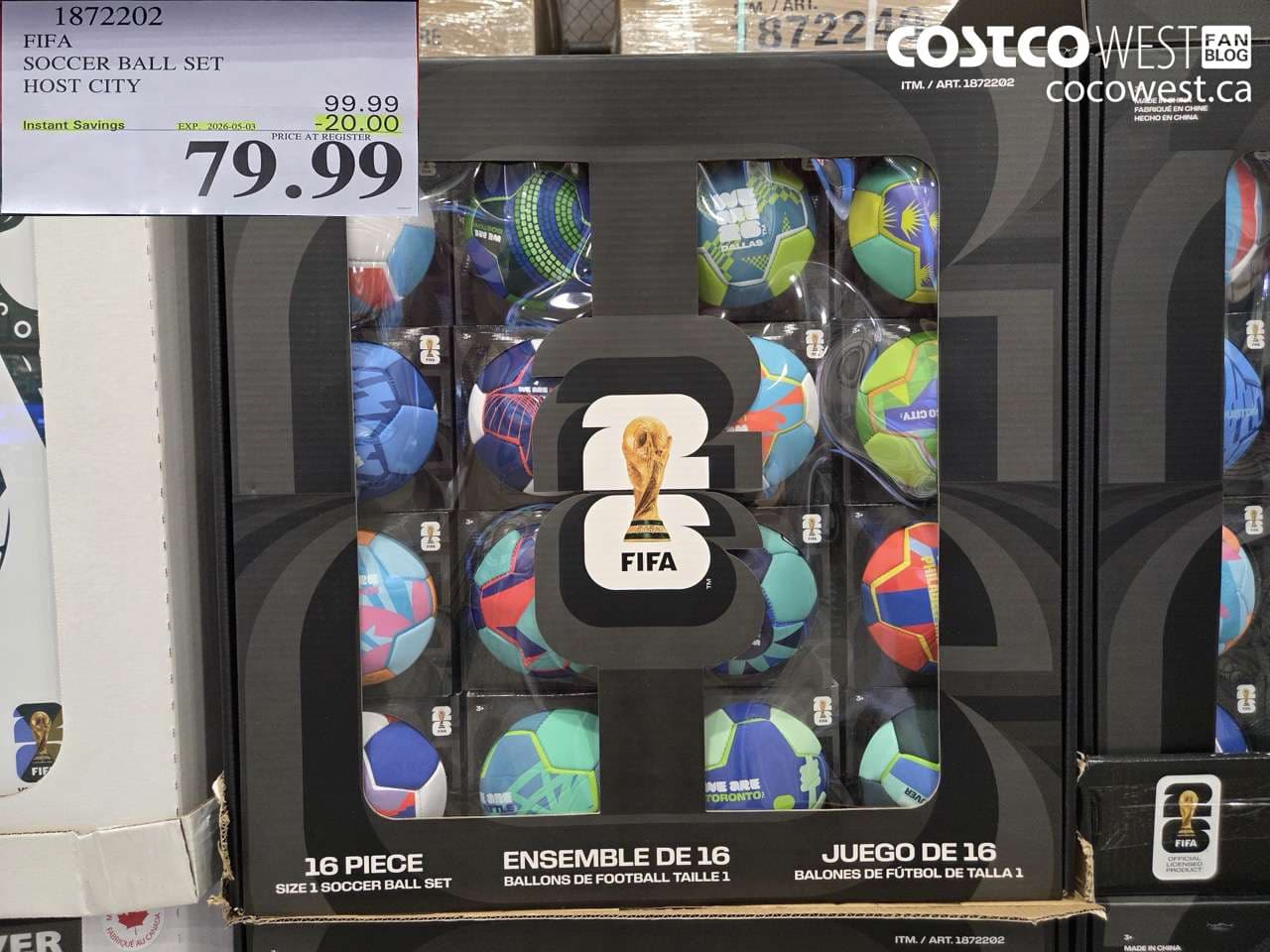 fifa soccer ball set host city