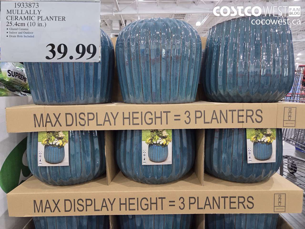 mullally ceramic planter 254cm 10 in