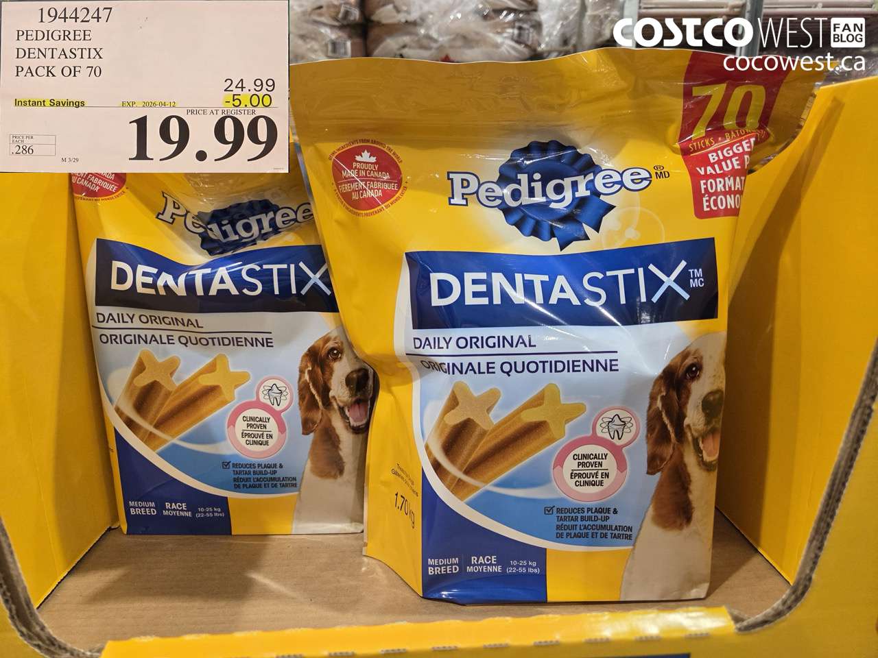 pedigree dentastix pack of 70