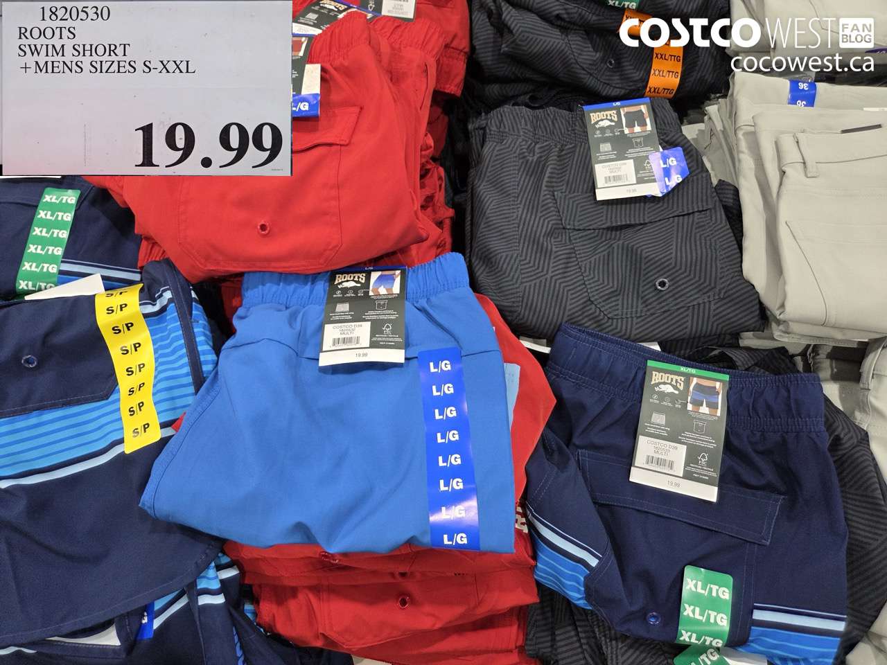 roots swim short  mens sizes sxxl