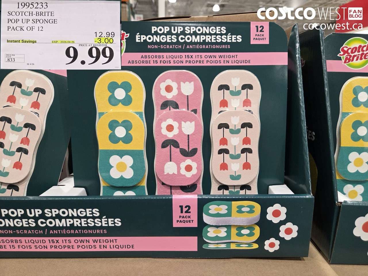 scotchbrite pop up sponge pack of 12