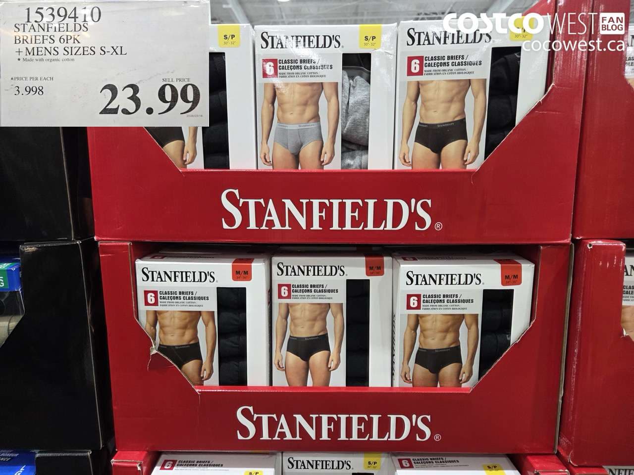 stanfields briefs 6pk  mens sizes sxl