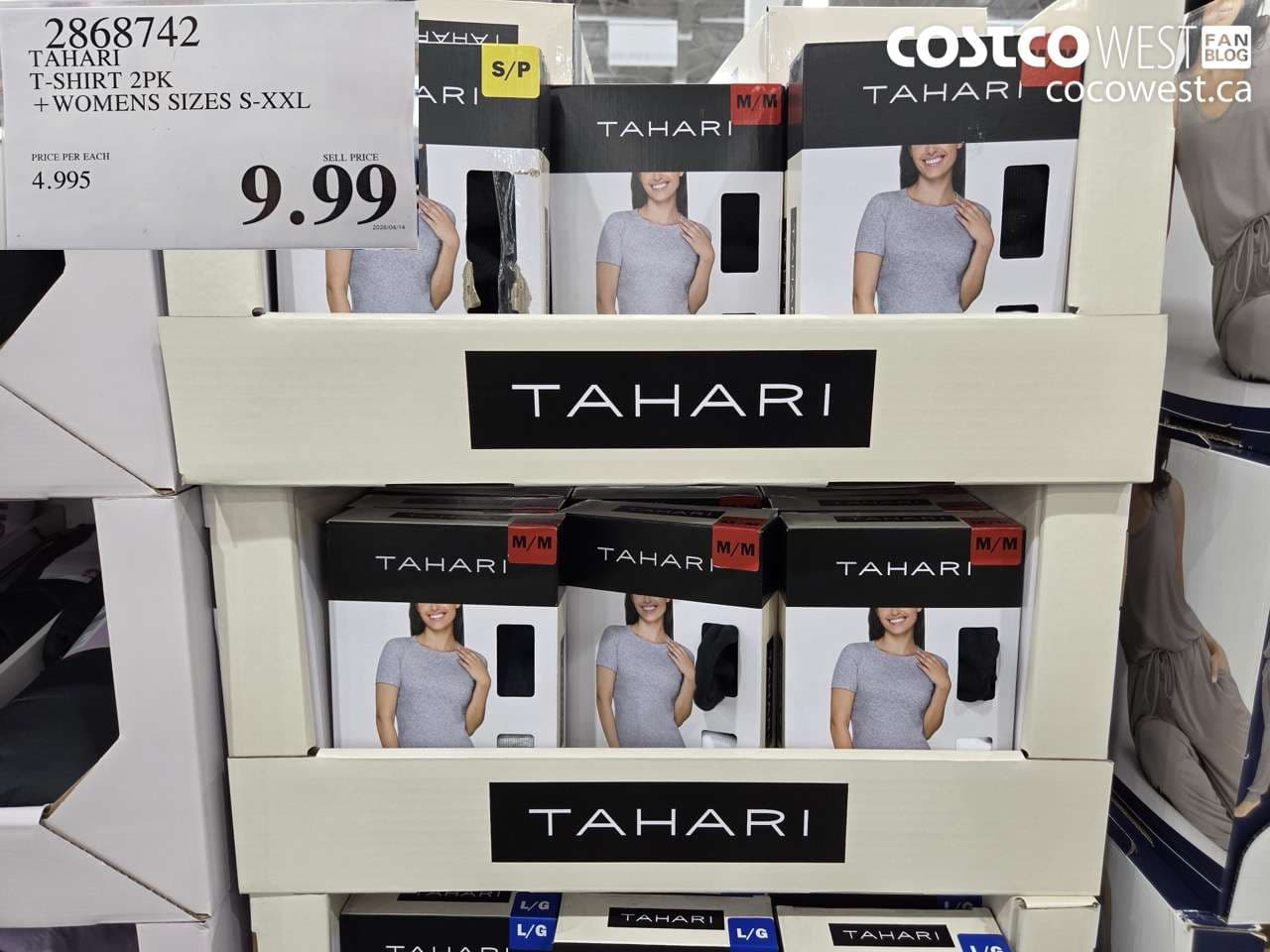 tahari tshirt 2pk womens sizes sxxl