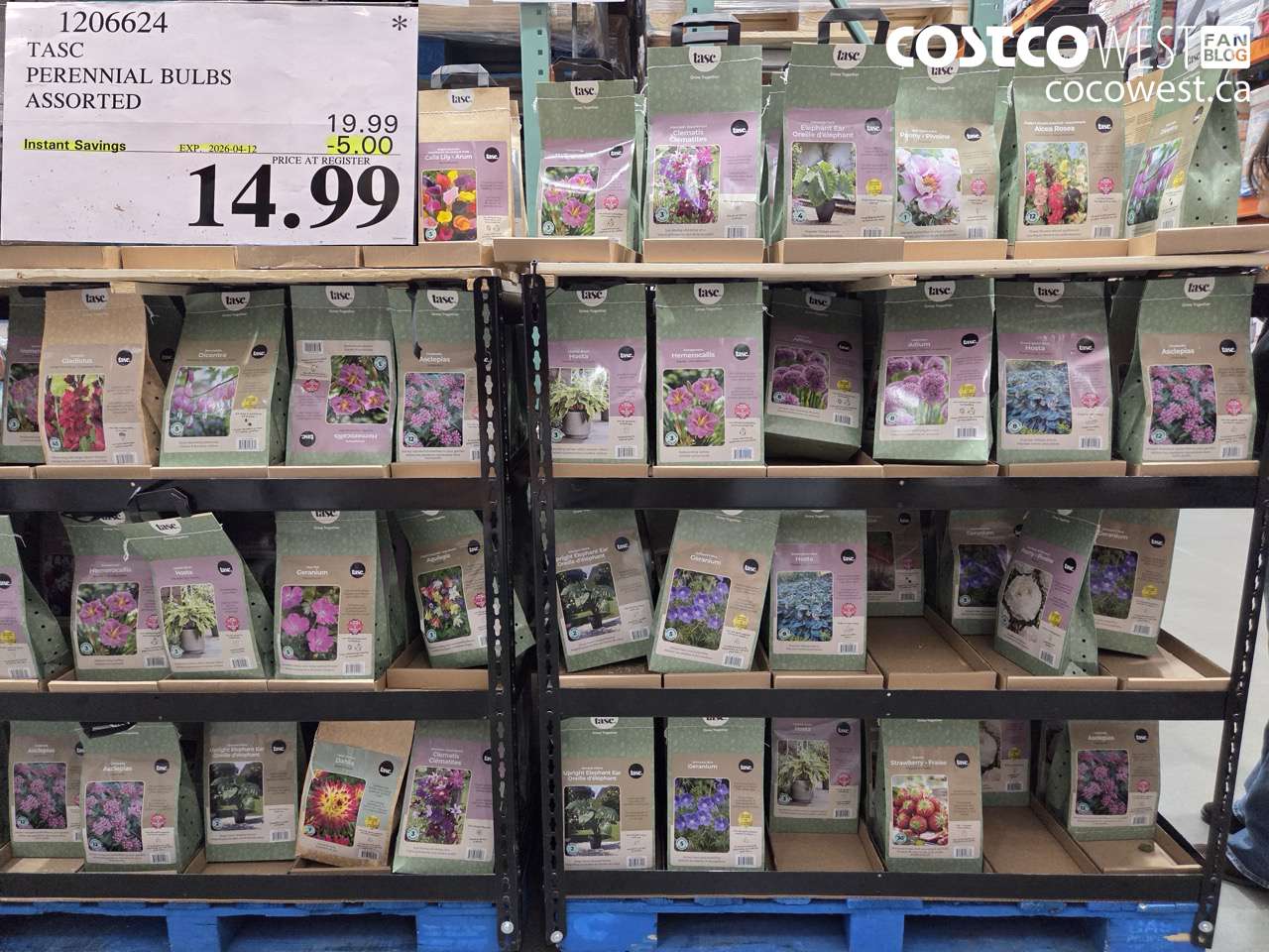 tasc perennial bulbs assorted