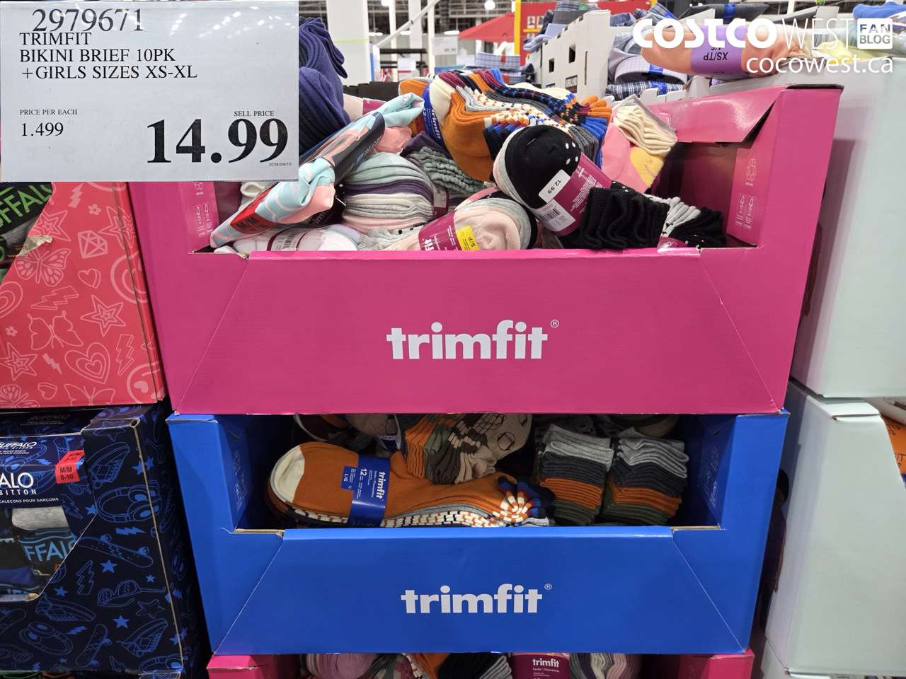 trimfit bikini brief 10pk  girls sizes xsxl