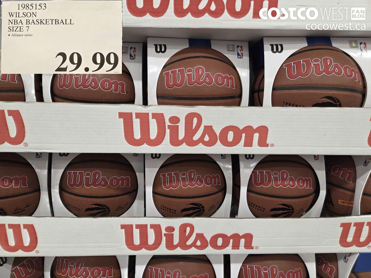 WILSON NBA BASKETBALL SIZE 7