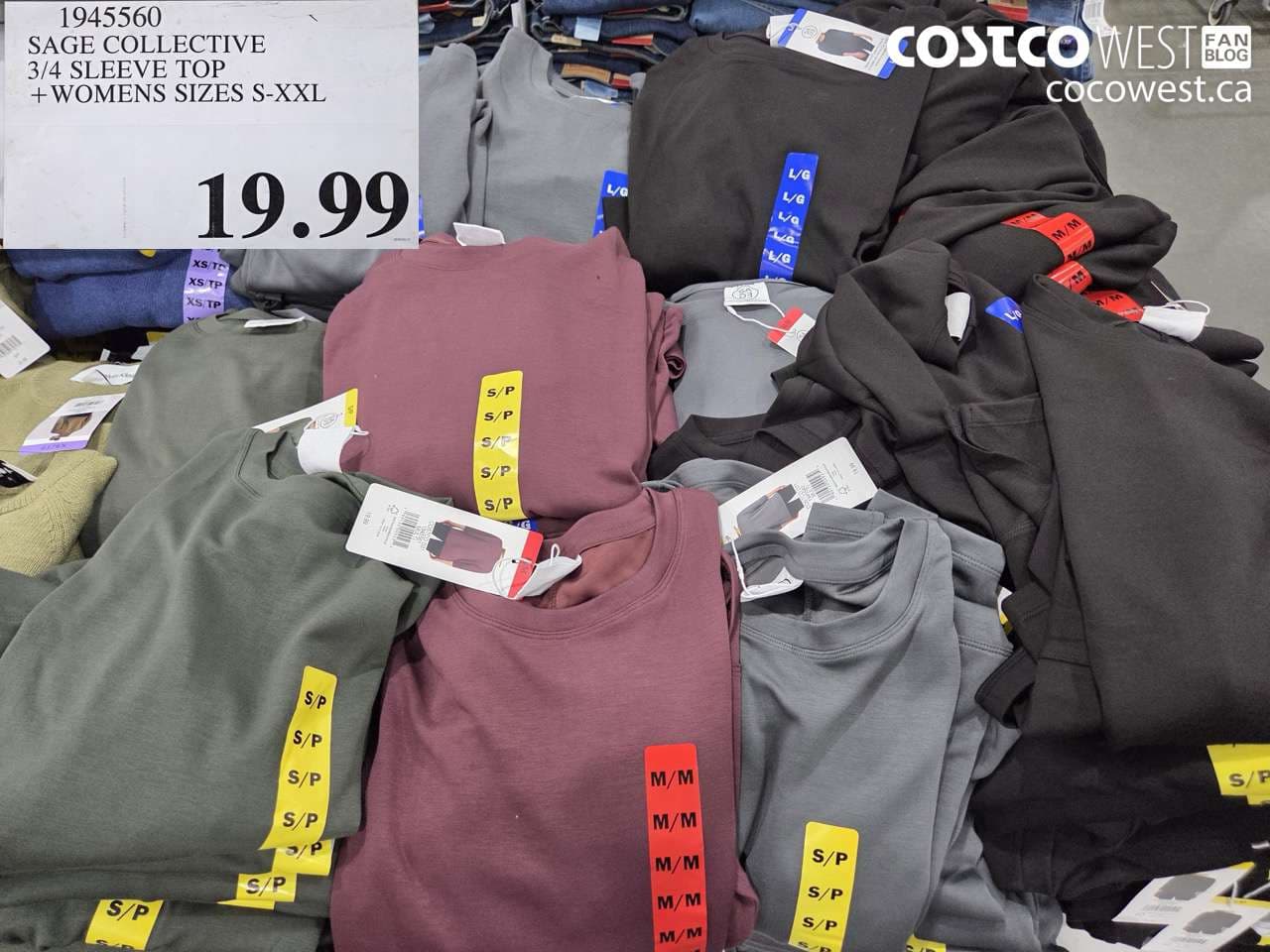 sage collective 34 sleeve top womens sizes sxxl